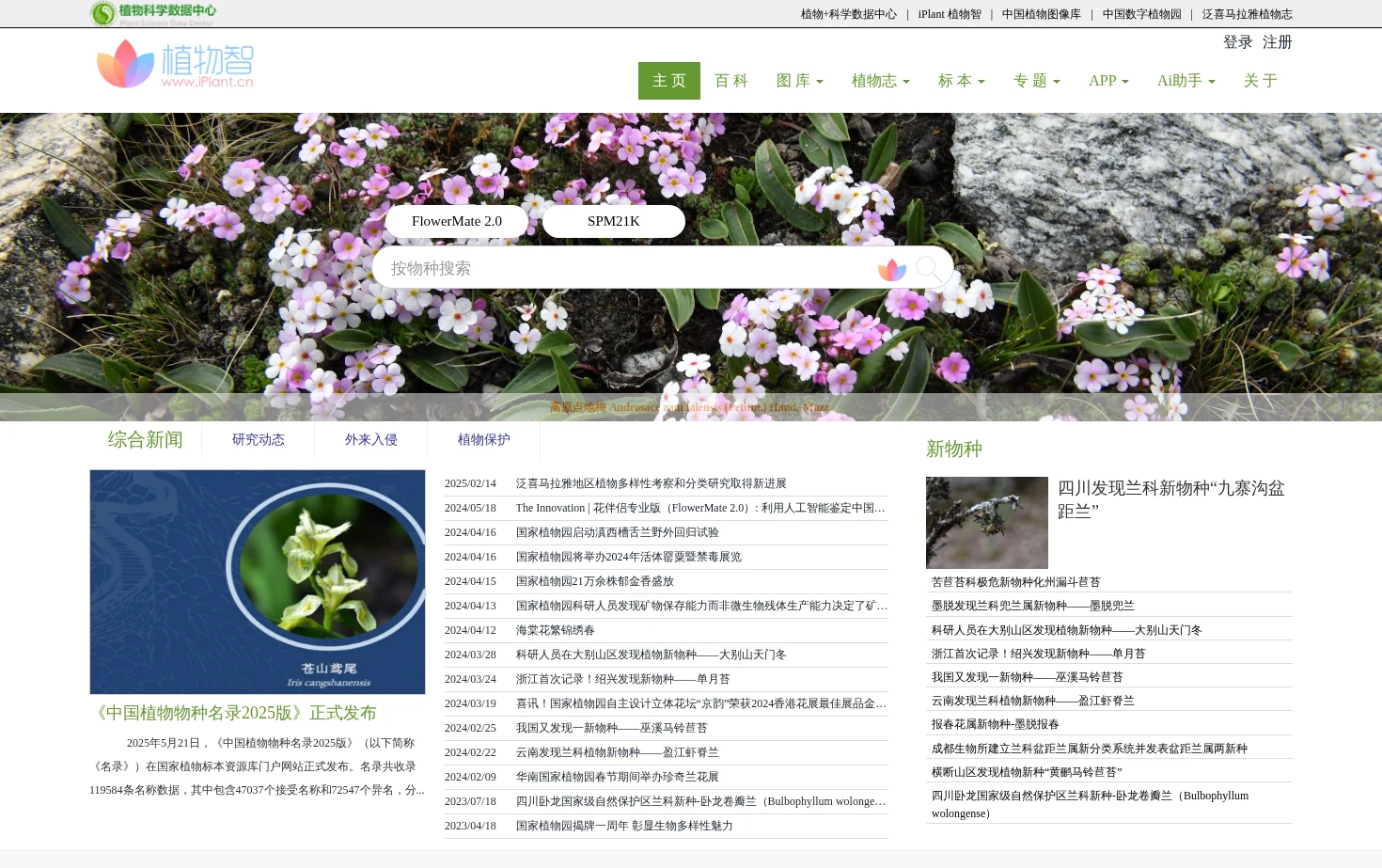 iPlant 植物智 页面快照